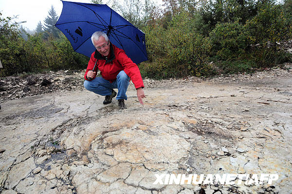 Descubren la huella más grande de dinosaurio en Francia 4