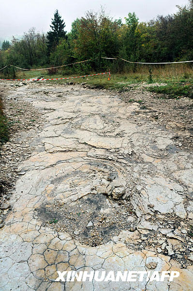 Descubren la huella más grande de dinosaurio en Francia 3