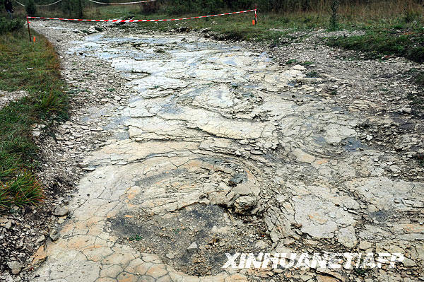 Descubren la huella más grande de dinosaurio en Francia 2