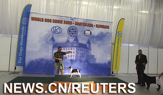 World Dog Show en Bratislava3