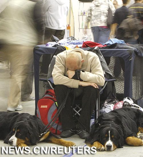 World Dog Show en Bratislava6