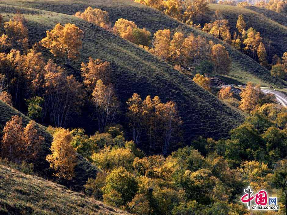 turismo-China-pradera-Bashang-Hebei 8