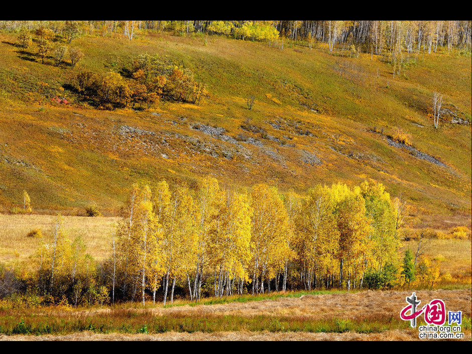 La gran dehesa de Khingan en otoño 6