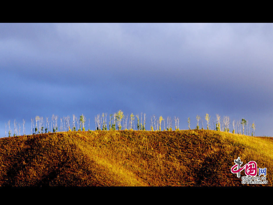 La gran dehesa de Khingan en otoño 7