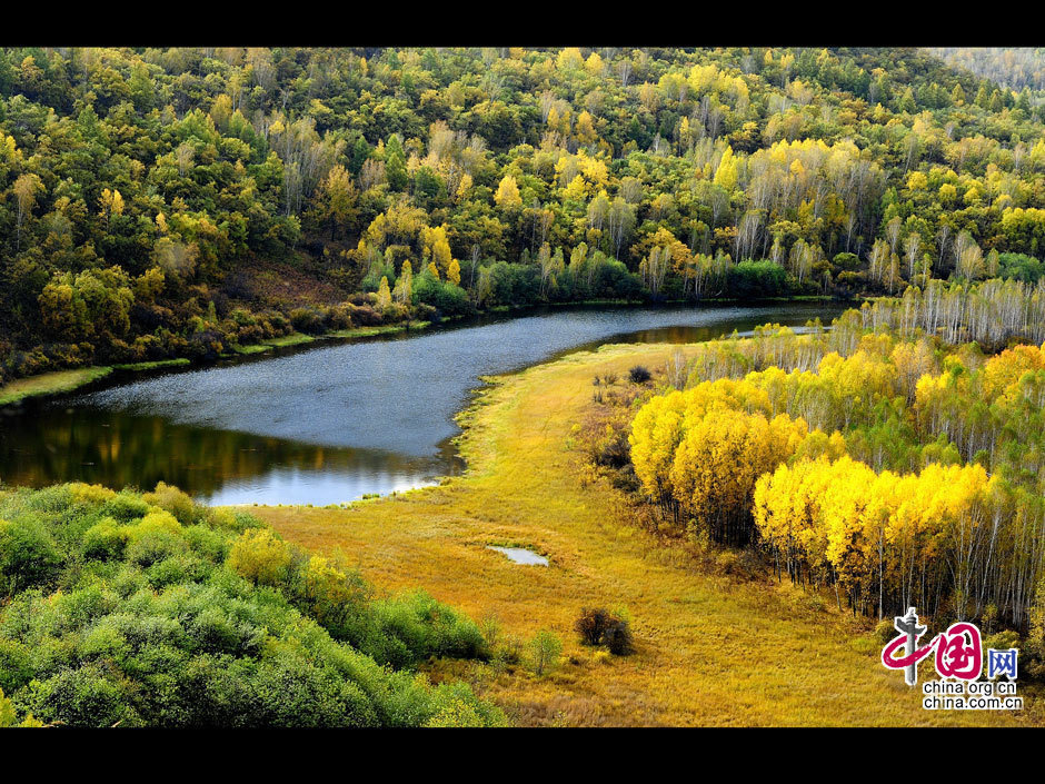 La gran dehesa de Khingan en otoño 8