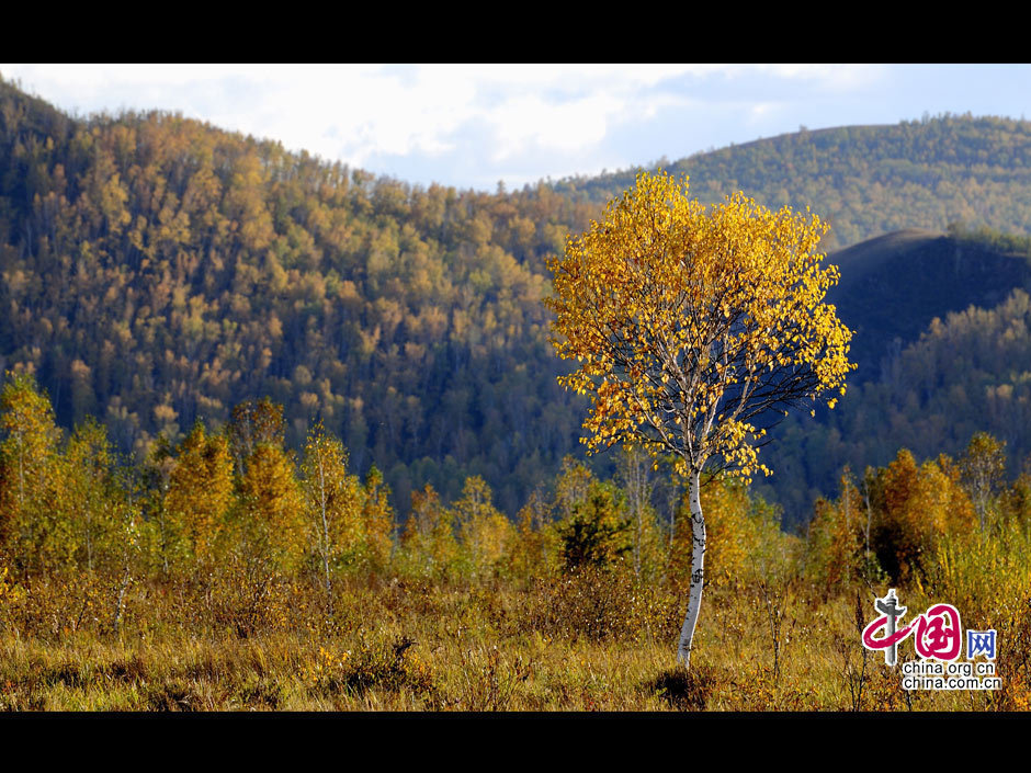 La gran dehesa de Khingan en otoño 9