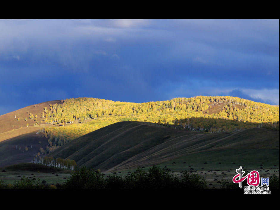 La gran dehesa de Khingan en otoño 11