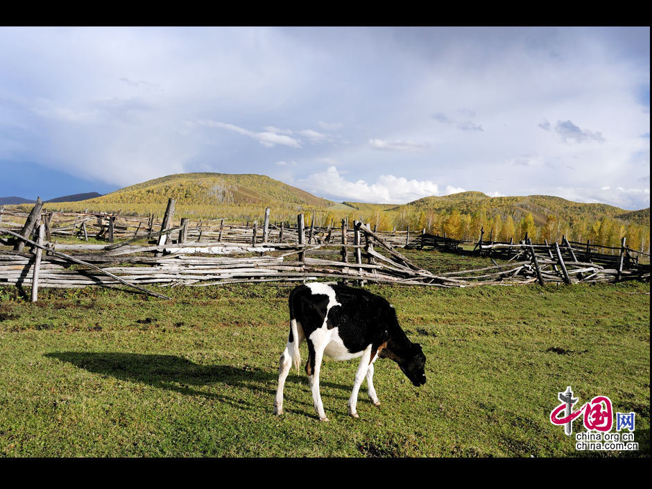 La gran dehesa de Khingan en otoño 14