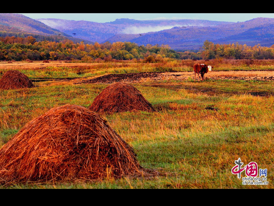 La gran dehesa de Khingan en otoño 15