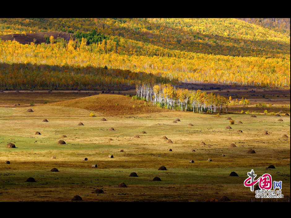 La gran dehesa de Khingan en otoño 19