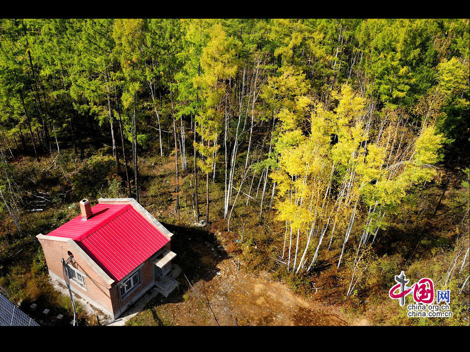 La gran dehesa de Khingan en otoño 26