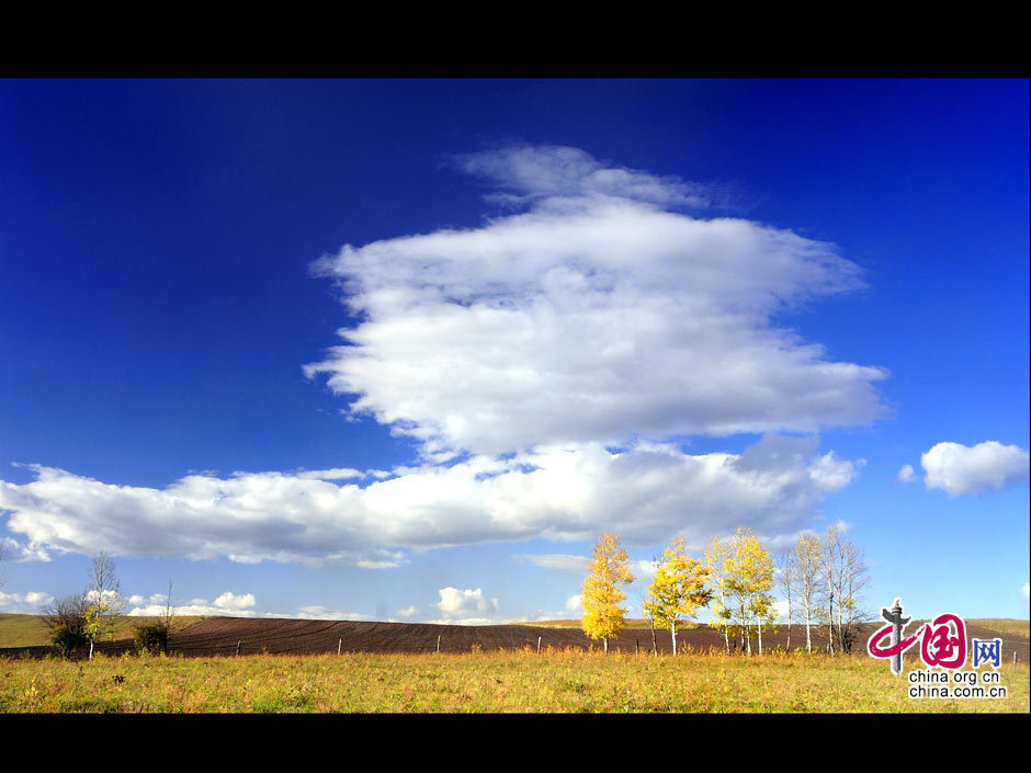 La gran dehesa de Khingan en otoño 29