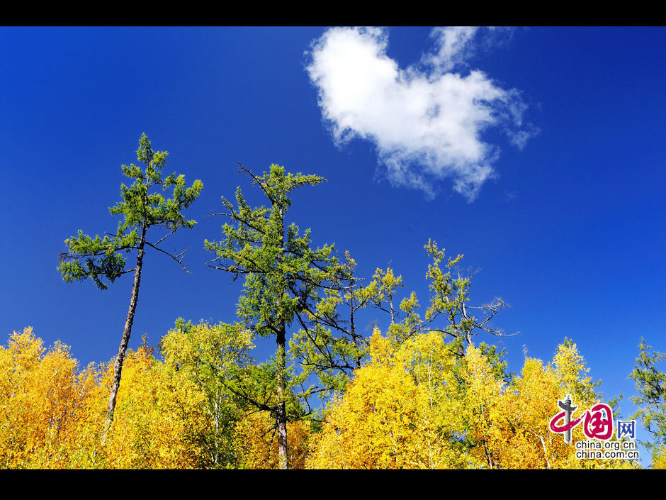 La gran dehesa de Khingan en otoño 32