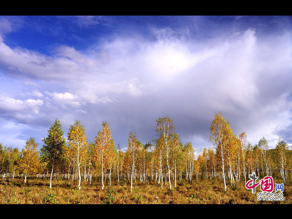 La gran dehesa de Khingan en otoño 34