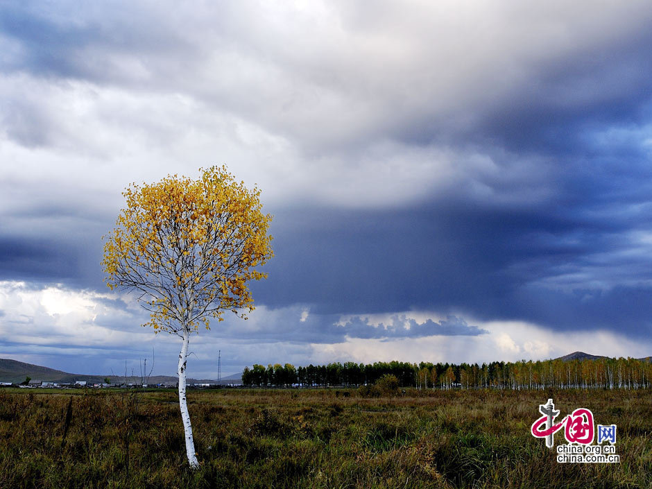 La gran dehesa de Khingan en otoño 36