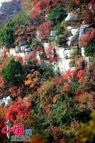 periodo de hojas- montaña Taihang 4