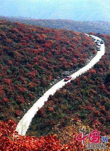 periodo de hojas- montaña Taihang 7
