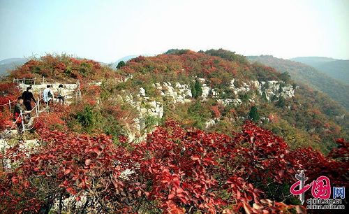 periodo de hojas- montaña Taihang 9
