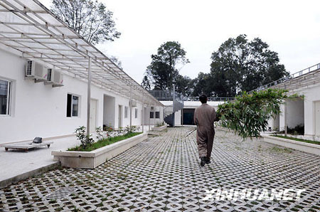 13 pandas -dan a luz -16 crías -Sichuán 7