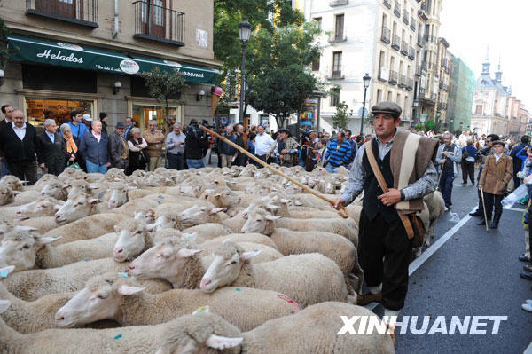 marcha de ovejas-Madrid1