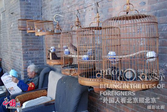 Obras- premios de excelencia - Concurso de Fotografías-Beijing , a los ojos de los extranjeros 24