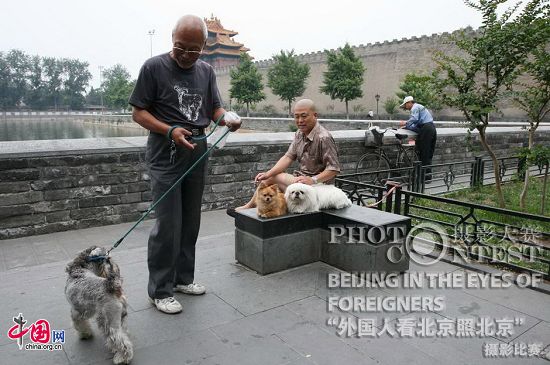 Obras - premios de excelencia -Concurso de Fotografías-Beijing , a los ojos de los extranjeros 56