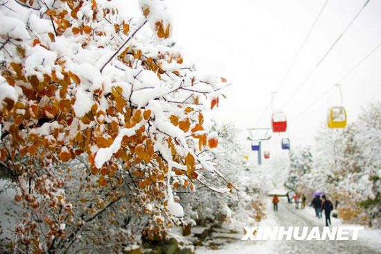 Beijing bajo la nieve 15