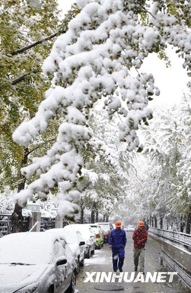 Beijing bajo la nieve 12