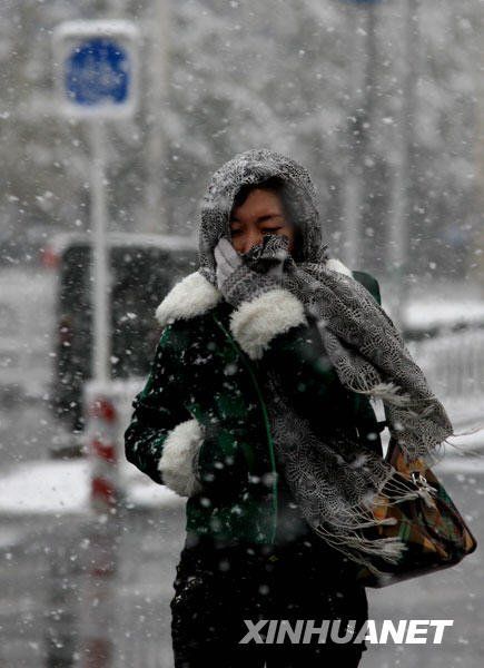Beijing bajo la nieve 13