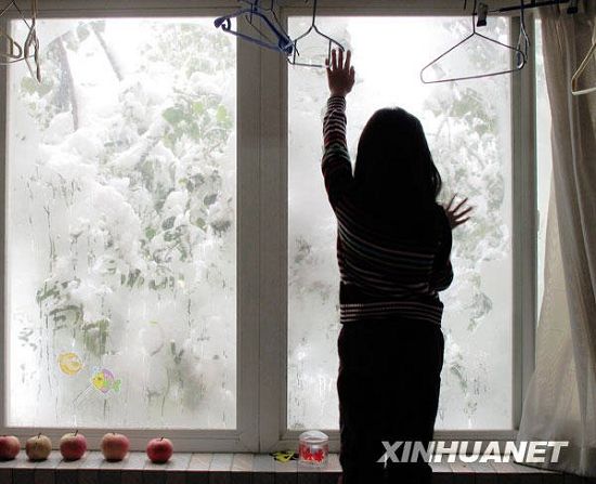 Beijing bajo la nieve 120