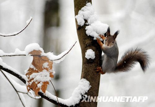 nieve-Moscú-Rusia 9