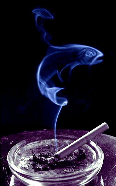 humo-arte 10
