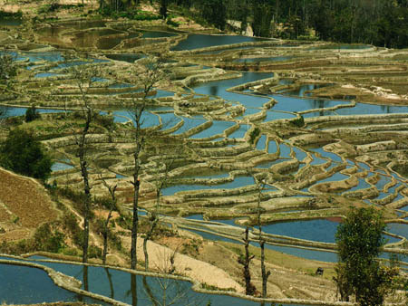 15 lugares dignos de visitar en China 7