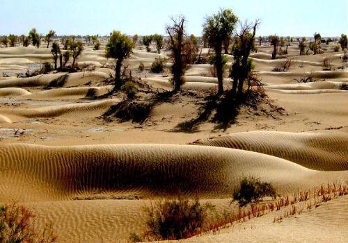 Los 5 desiertos más hermosos de China 7