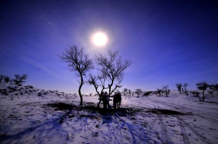 Desolada belleza: las praderas del norte de China bajo la nieve 1