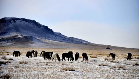 Desolada belleza: las praderas del norte de China bajo la nieve 4