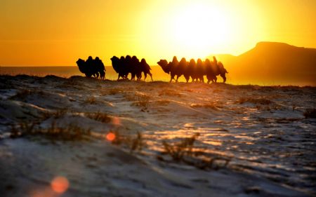 Desolada belleza: las praderas del norte de China bajo la nieve 5