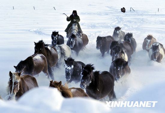 Intensas nevadas dejan un muerto y más de 5.000 evacuados en Xinjiang2