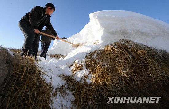 Intensas nevadas dejan un muerto y más de 5.000 evacuados en Xinjiang4