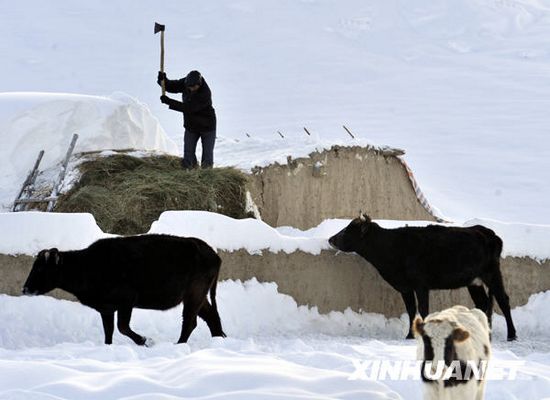 Intensas nevadas dejan un muerto y más de 5.000 evacuados en Xinjiang5