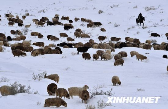 Intensas nevadas dejan un muerto y más de 5.000 evacuados en Xinjiang6