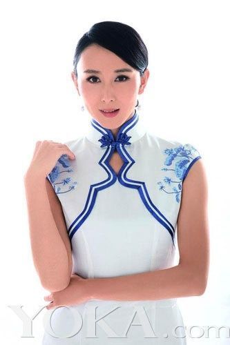 Moda de la porcelana azul y blanca de las estrellas chinas2