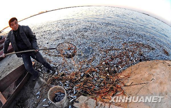 Un embalse de Shenyang estuvo seriamente contaminado 4