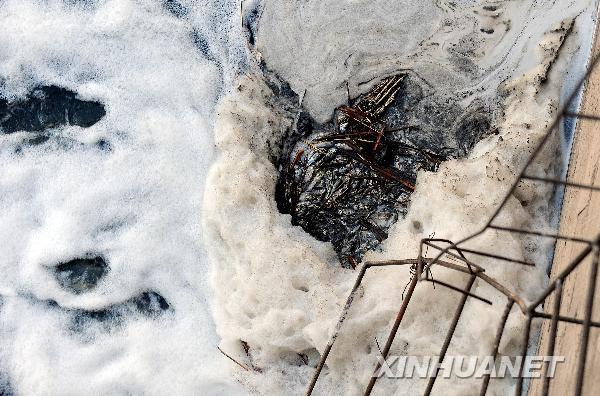 Un embalse de Shenyang estuvo seriamente contaminado 3