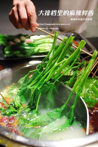 Chengdú-gastronomía-vestido-entretenimiento-amor-idioma 2