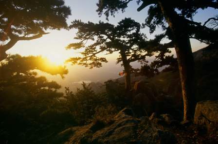 Salida del sol, Montaña Taishan, shandong 9