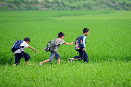 niños-campo-China 1