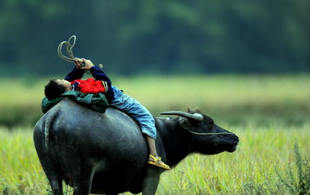 niños-campo-China 4 niños-campo-China 4