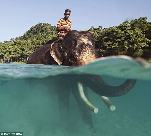 Un elefante de 60 años y su dueño de 58 años 4