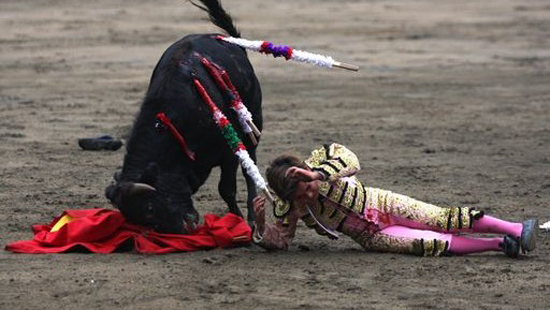 Niño torero de 12 años fue atacado por un toro de más de 386 kilos 5